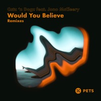 Would You Believe Remixes (feat. Jono McCleery) - Catz 'N Dogz