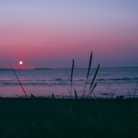 Nothing is forever, dance - Single - Falloutskyy