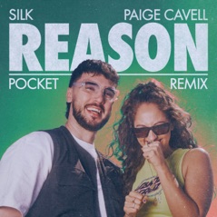 Reason (Pocket Remix) - Single