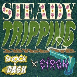 Steady Tripping (feat. Eiron) Shock & Dash
