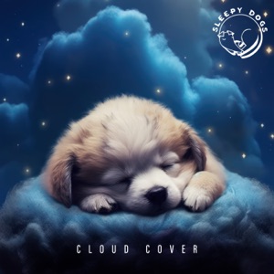 Cloud Cover - Single