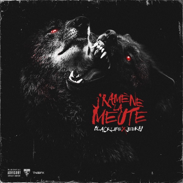 Cover of J'ramène la meute (feat. Jeekay) - Single