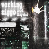 Working - Single - Ziggo