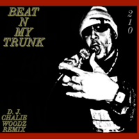 Dj Chalie Woodz Remixes - Single - Chalie Woodz