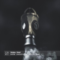 Shadow and a Ruin (feat. Shae) - Single - Skrybe