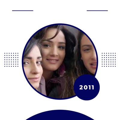 Fadi Mardini - Music Chiffon Series D