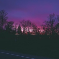 Garden (feat. Lofimind) - Single - Lofi.Lavito