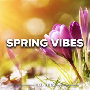 Spring Vibes 2023
