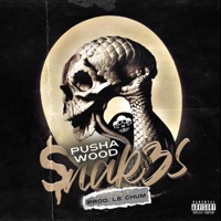 $nak3s - Single - Pusha Wood