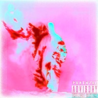 BURN 'EM DOWN! (feat. 「 PALMTREES 」) - Single - hollowshawdy