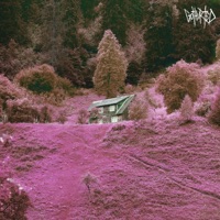 Grow Old - Single - gothurted