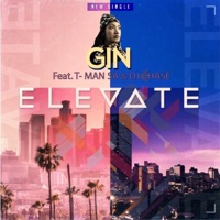 Elevate (feat. T-Man SA & Dj Chase) - Single - Gin