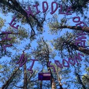 In the Middle of the Woods - Single