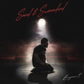 Saved & Surrendered artwork