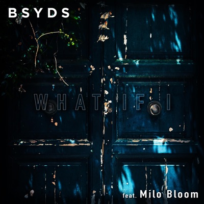 What If I (feat. Milo Bloom) - Single