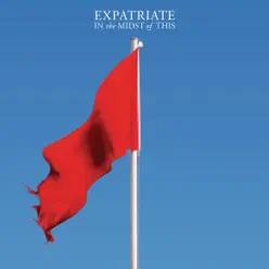 In the Midst of This - Expatriate