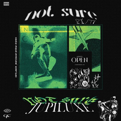 Not Sure (feat. OPEN) - Single