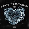 Can't Remember - Single