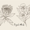 Fragile Minds - Single