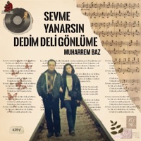 Sevme Yanarsın Dedim Deli Gönlüme (feat. Beste Baz) - Single - Muharrem Baz