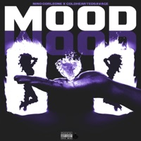 Mood (feat. Coldheartedsavage) - Single - Nino Corleone