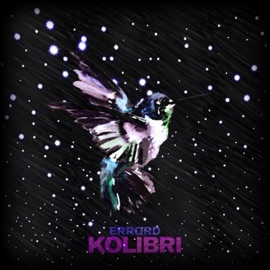 Kolibri Errord