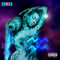 Age of Aquarius - Destiny Manifest
