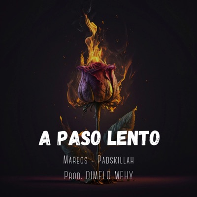 A Paso Lento (feat. PadsKillah & Dímelo Mehy) - Single