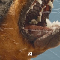 Feds (feat. JAG) - Single - Tom Alfons