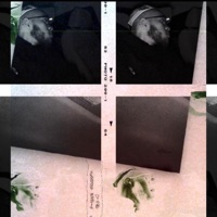 Feel My Pain. - Single - Marcus B.