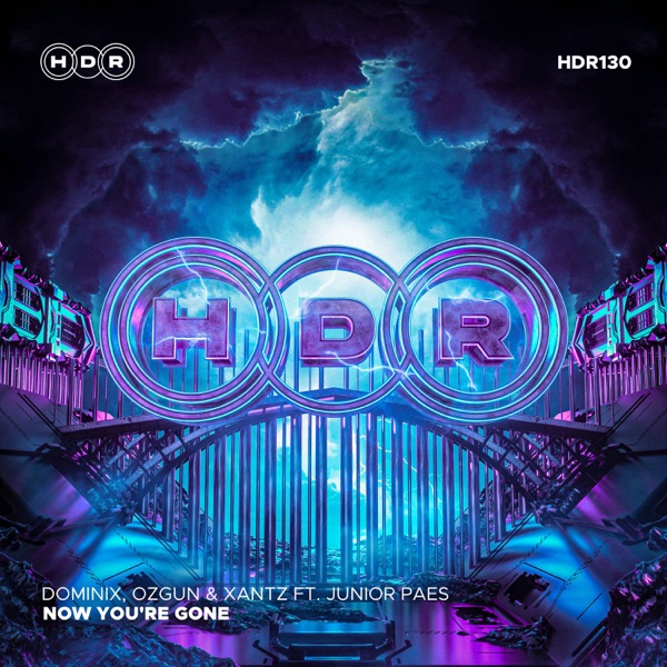 Now You're Gone (feat. Junior Paes) - Single