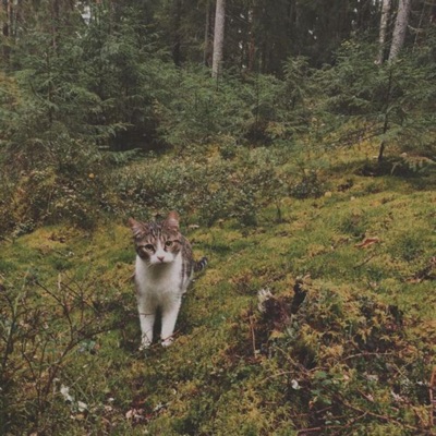 Fashion Island (feat. Rubywitch) - Single