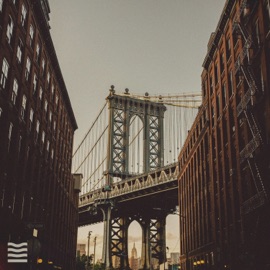 Steel Horizon Thymes