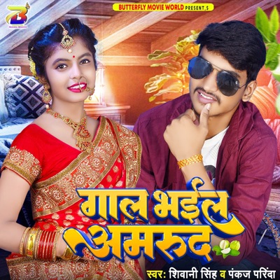 Gaal Bhail Amrud - Single
