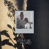 Love of my Life - Single - Michael Carreon