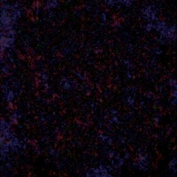 Read - Single - Quetzal Blanco