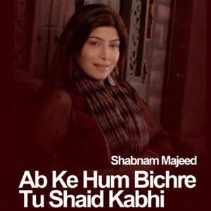 Ab Ke Hum Bichre Tu Shaid Kabhi