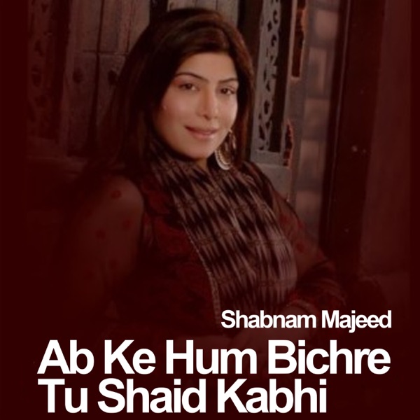 Ab Ke Hum Bichre Tu Shaid Kabhi