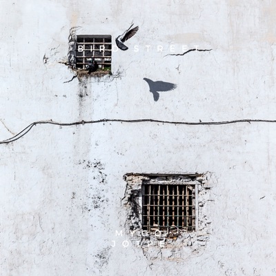 Bird Street - Single
