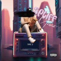 Spliff Tape 3 (feat. Mike Z) - MOLTISANTI