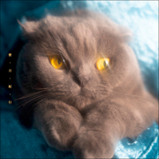 Mitsu Getsu Ki Ko - Nekosen