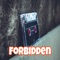 FORBIDDEN - DJ STENCIL lyrics