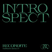 Introspect - Single