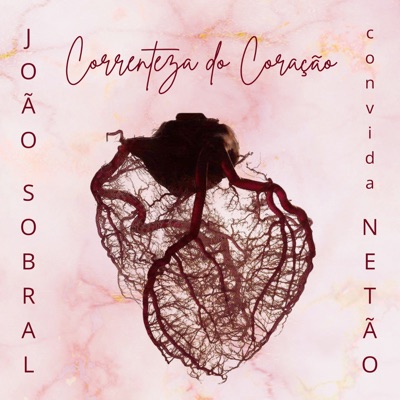Correnteza do Coração (feat. Netão) - Single