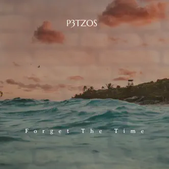 Forget the Time - Single by P3TZOS album reviews, ratings, credits