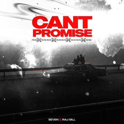 CAN'T PROMISE (feat. Raj Gill) - Single