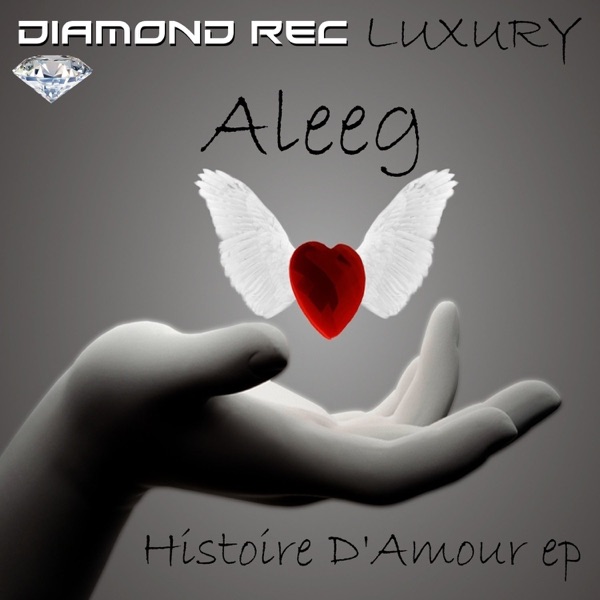 Histoire D'amour - Single