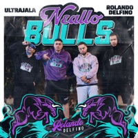 Neallo Bulls (feat. Bapzter, Esetegeo & Leflav) - Single - Rolando Delfino & Ultrajala