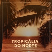 Tropicália do Norte artwork