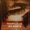 Tropicália do Norte artwork